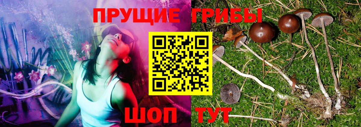 Чапаевск  Псилоцибиновые грибы Psilocybine cubensis  как найти   Вход с VPN  Галлюциногенные грибы мухоморы 