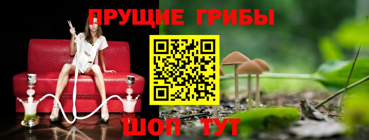 Псилоцибиновые грибы мицелий Чапаевск